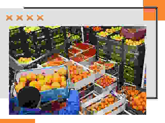 Перевозка скоропортящихся продуктов в Кохме